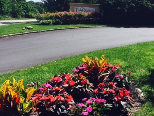 Landscaping & Snow Removal Landscaping & Snow Removal